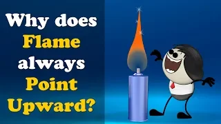 Why does a Flame always Point Upward? + more videos | #aumsum #kids #science #education #children