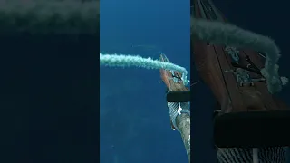 Spearfishing MASSIVE Dogtooth Tuna (130 lbs)