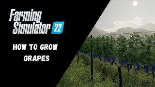 FS22 - How To Grow Grapes - Farming Simulator 22