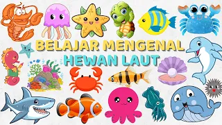 Belajar Mengenal Nama-Nama Hewan Laut Bahasa Indonesia & Bahasa Inggris | Learn Names of Sea Animals