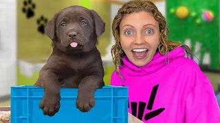 I Went SHOPPING FOR A NEW PET...THEN THIS HAPPENED