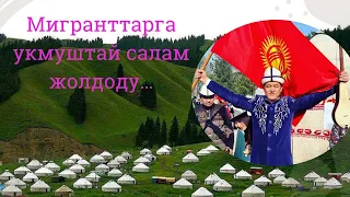 Мигранттарга салам//Турат Жумаев.2024.