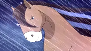 Horseland | Through the Storm | Season 1 | Horse Cartoon | Videos For Kids