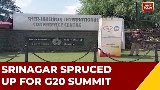 Once A Terror Hotbed, Now Diplomacy Hub: Naya Kashmir's G20 Moment