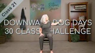 Chair Yoga - Dog Days Class 21 - 32 Minutes Some Seated, More Standing