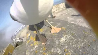 Seagull steals the tourists camera / Чайка украла камеру у туристов