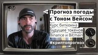 Биткоин обвалился: как торговать на медвежьем рынке — Тон Вейс