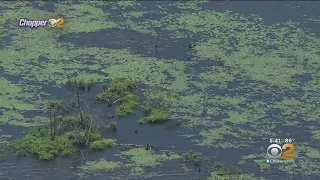 Officials Issue Health Warnings About Lake Hopatcong Algae Bloom