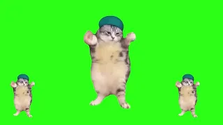 Cat Dances to Girlfriend  - Green Screen 2K 60fps #catdance