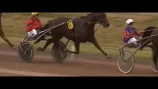 Prix Des Sables D'Olonne 2016_Bold Eagle_Eric Raffin