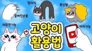 ??? : 고양이를 이렇게 활용할 수 있습니다  | 고양이산책