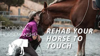 WHEN YOUR HORSES HATES TOUCH:  Rehabilitation to Touch and Pressure