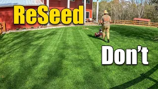 Should You Seed a Bermuda Lawn