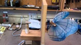 Butterfly Wing Flapping Test