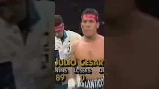 JULIO CESAR CHAVEZ 🔥🚨 #boxing #boxeo #mexicanboxer #juliocesarchavez #boxeomexicano #boxeomundial