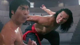 Bruce Lee The Kungfu Maestro
