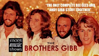 Brothers Gibb Bee Gees & Andy Gibb Story