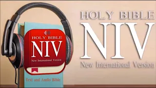 Audio Books NIV New International Version 1 -  44 Acts