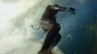 Storm Surfers 3D Clip (2013) HD [CinemaSauce.com]