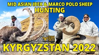 Mid Asian ibex and Marco Polo sheep hunting in Kyrgyzstan