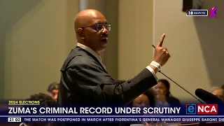 Zuma's criminal record under scrutiny