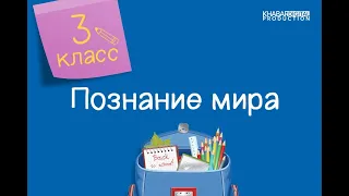 Познание мира. 3 класс. Я составляю план местности /23.12.2020/