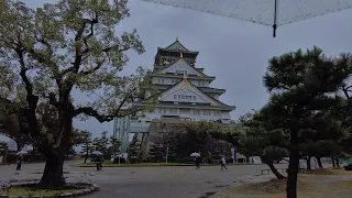 WALKING IN THE RAIN AT OSAKA CASTLE PARK | 4K ASMR | RAIN AMBIENCE SOUNDS FOR SLEEP, RELAXING, STUDY