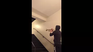 "The Force Theme" Stairwell Horn with Awesome Reverb (and Edited Background Music)