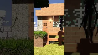 Minecraft - Enderman kill Skeleton