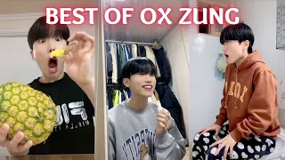 Funny Ox Zung (MAMA GUY - WonJeong CEO of Mamaaa) TikTok Compilation October 2022 #1