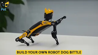 Building Your Own Petoi Bittle Robot Dog | Petoi