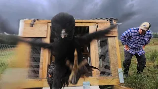 Massive Storm Hits the Farm