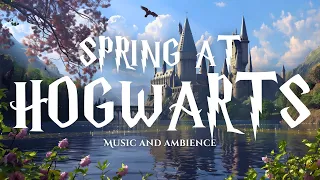 Spring Morning at Hogwarts 🦉🌸 | Original Music and Ambience Inspired by Hogwarts | Relax and Focus 🍃