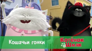 Котенок Шмяк 😻 - Эпизод 42.Кошачьи гонки - Премьера мультфильма