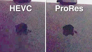 Why Shoot ProRes on the iPhone 13 Pro? (Real-world differences)