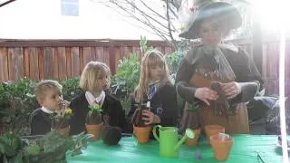 Making/Repotting Your Own Harry Potter Mandrakes