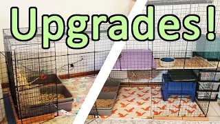 Rabbit Cage Upgrade 2022 | DIY rabbit condo changes
