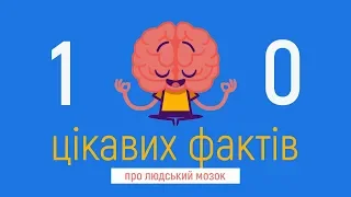 10 Цікавих Фактів про людський мозок, які ви могли не знати / Ягич Вікторія