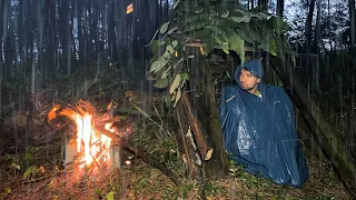 2 DAYS SURVIVAL CAMPING WITH MY CAT IN HEAVY RAIN - BUILDING WARM BUSHCRAFT SHELTER #survival