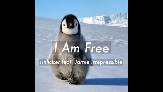 Tinlicker feat. Jamie Irrepressible • I Am Free • Video Edit @katawpr