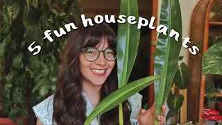 5 Houseplants That are Just Fun to Grow!