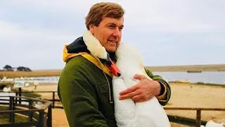 Мужчина спас дикого лебедя, но то что лебедь сделал в ответ невероятно, история растопит ваши сердца