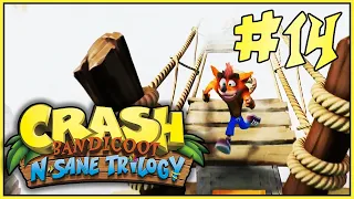 #14 CRASH BANDICOOT 1 (N. Sane Trilogy) - Прямая дорога