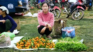 Ella Harvesting Eggplant, Tangerine Go to the market to sell