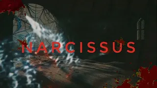 Narcissus / Нарцисс / Скоро на канале LIK SCHLEICH /