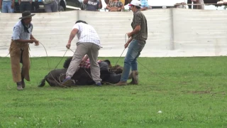 PIALADA EN PREDIO DE FEDERACION GAUCHA