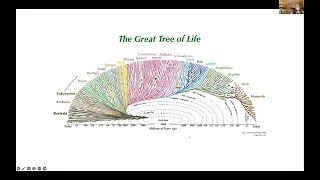 Dan Dennett: The Evolution of Understanding on Several Levels