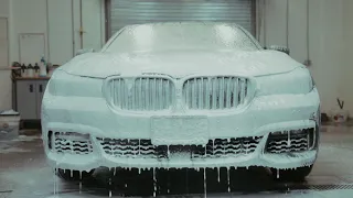 Detailer's Domain 2018 BMW 750Li Grigio Telesto: Nanolex SI3D HD