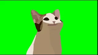 He is wait his time... This is Pop Cat Green Screen