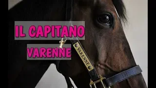 Il cavallo più veloce del mondo - Il Capitano Varenne |  🐴  HORSE PLANET